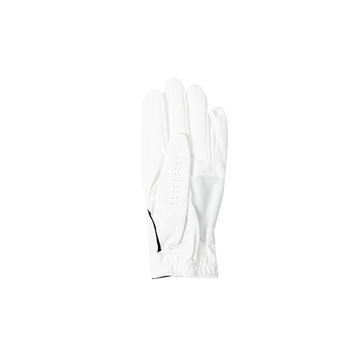 FootJoy x Bisque Weathersof Glove