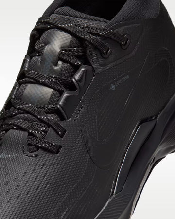Nike Pegasus 1 G GORE-TEX - Black/Dark Smoke Grey/Black